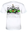 Danica Draft #10 T-shirt White